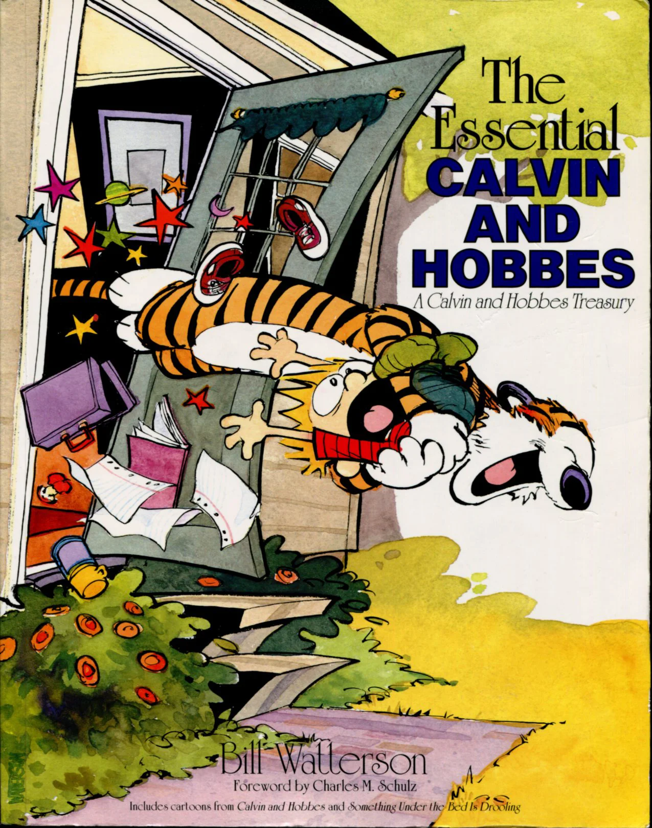 Calvin and Hobbes the essential — Art & Animation